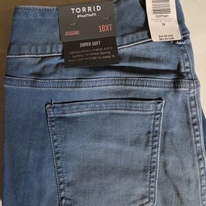 Torrid Soft Denim Blue Jeggings